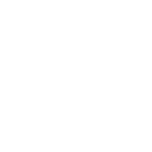 Vegan Diet Plan